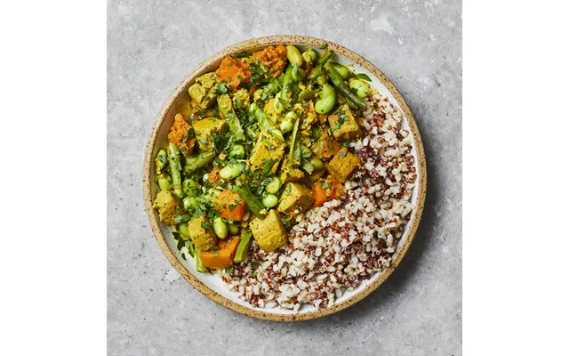 Malaysian Tofu Curry Low Fodmap