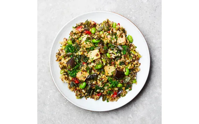 Teriyaki Tofu Low Fodmap