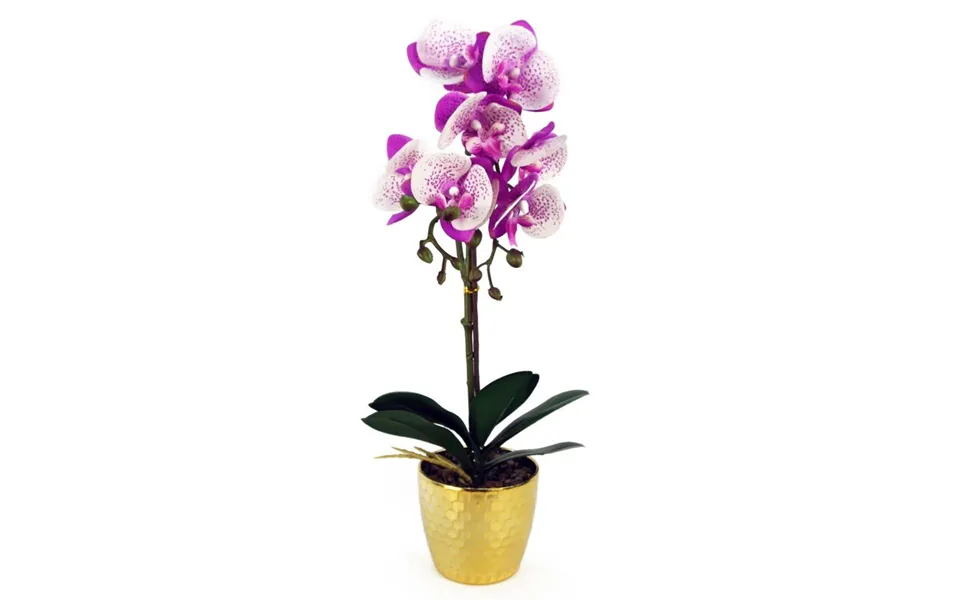 Artificial Orchid Flower - Purple White 50cm In Gold Pot