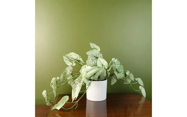 Leaf 30cm Artificial Trailing Alocasia Plant - Realistic Variegated Foliage product image