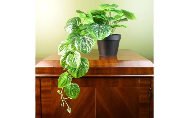 Leaf 35cm Artificial Trailing Pothos Plant - Realistic Green product image