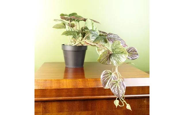 Leaf 35cm Artificial Trailing Purple Pothos Plant - Realistic, Low-maintenance product image