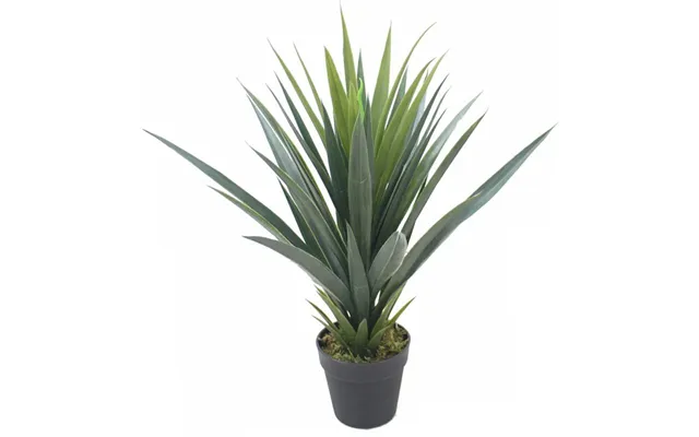 Leaf 60cm Artificial Agave Succulent Yukka Style Green Plant product image