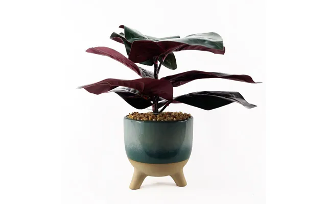 Leaf Artificial Ficus Plant 35cm Ceramic Planter - Teal Blue-green product image