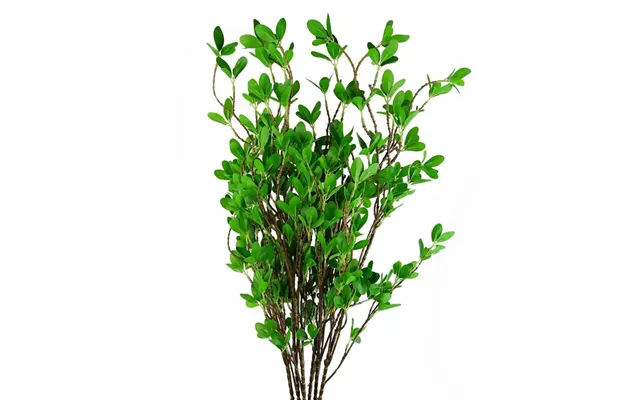 Leaf Artificial Ficus Stems - 6 Pack product image