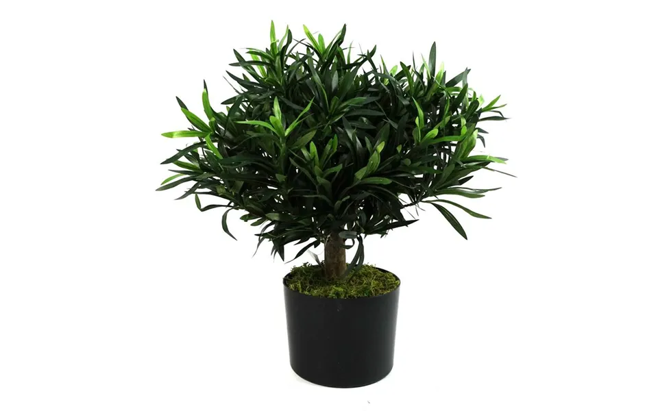 Leaf Artificial Podocarpus Bush - 40cm