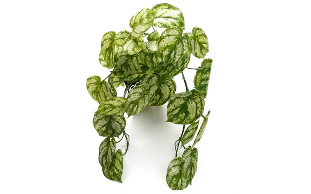 Leaf Artificial Trailing Light Green Plant - 35cm product image