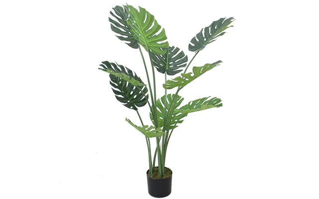 Leaf Luxury Monstera Plant 120cm - Black Pot product image