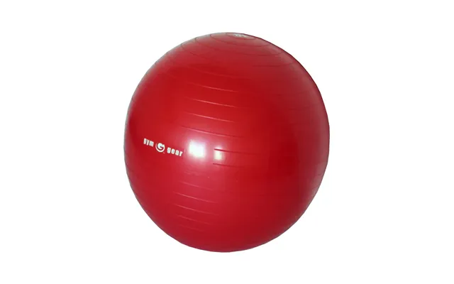 Gym Gear Gym Ball Home Gym - 55cm