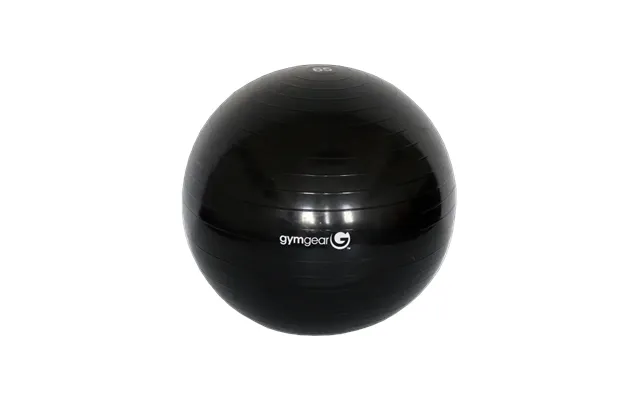 Gym Gear Gym Ball Home Gym - 65cm