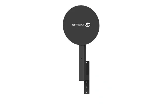 Gym Gear Wall Ball Target Home Fitness