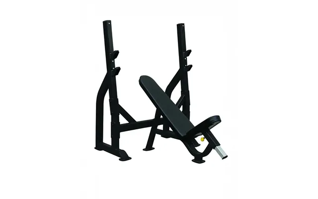 Pro Series - Olympic Incline Bench Home Workout