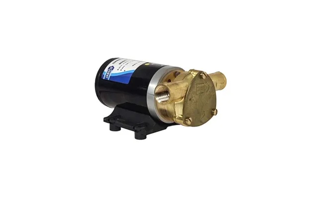Jabsco Water Puppy 2000 Flexible Impeller Pump 24v product image