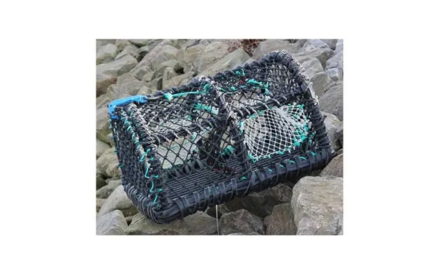 Seacatch Crab & Lobster Creel