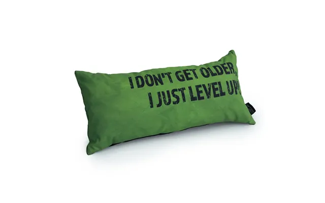 Gaming Cushion - I Don't Get Older, I Just Level Up