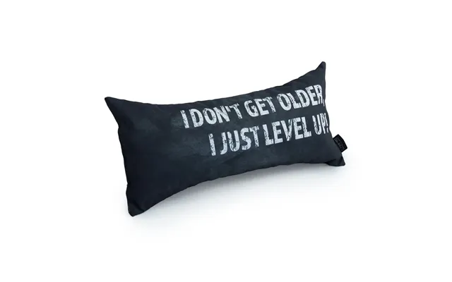 Gaming Cushion - I Don't Get Older, I Just Level Up