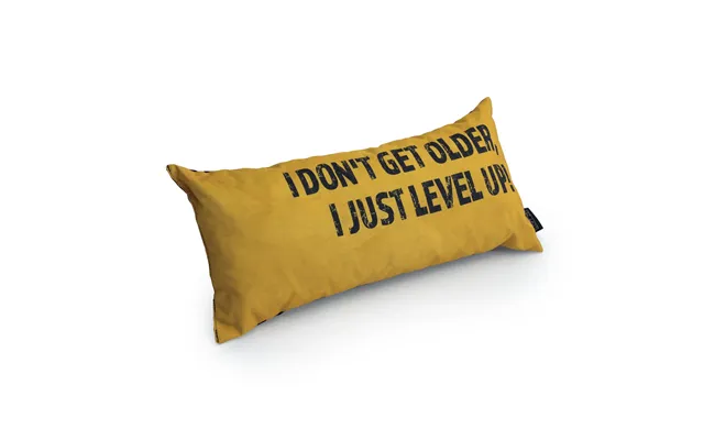 Gaming Cushion - I Don't Get Older, I Just Level Up