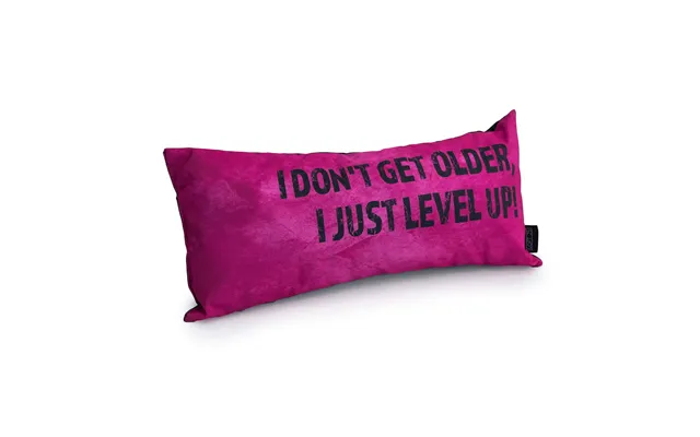 Gaming Cushion - I Don't Get Older, I Just Level Up