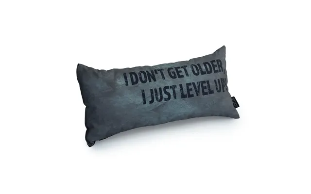 Gaming Cushion - I Don't Get Older, I Just Level Up