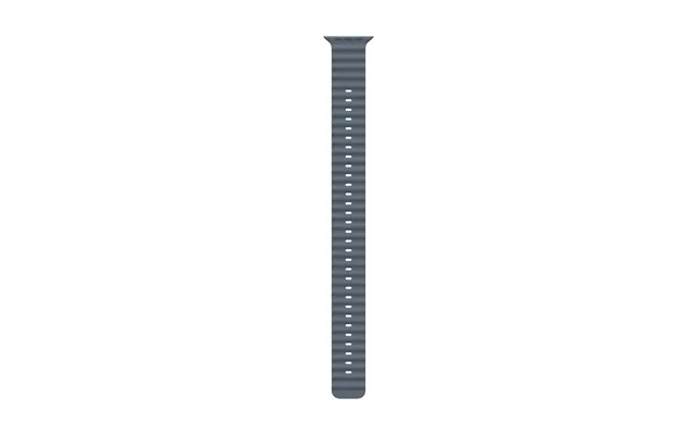 Apple Natural Titanium Finish Band Blue Fluoroelastomer. Titanium