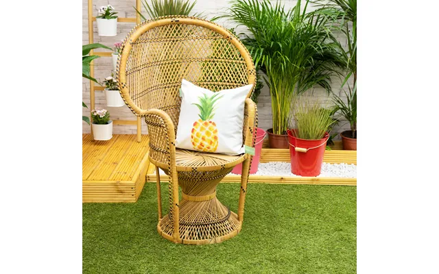 Water-resistant Decorative Cushion Covers Garden Printed Pillow Covers - Pineapple B