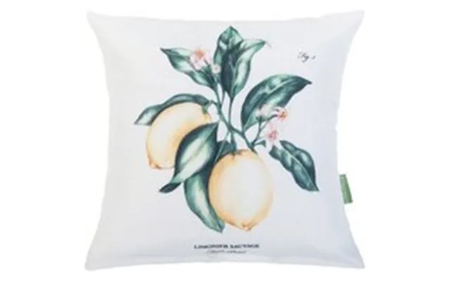 Limonier Cushion