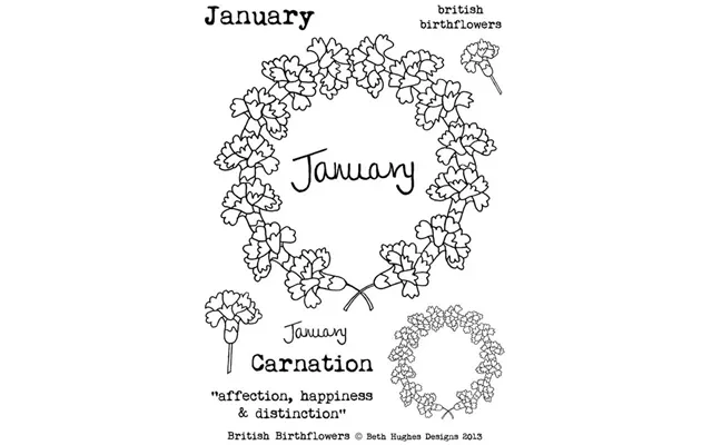 Bh British Birth Flowers January