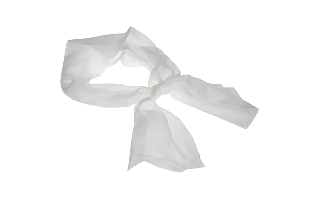 Silk Scarf - Size 45x180 Cm product image