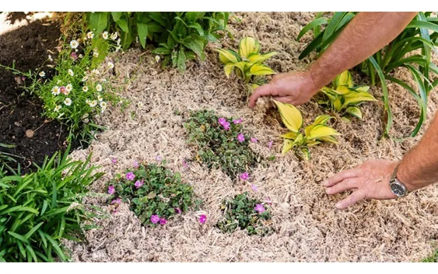 10l Incredi Mulch Plus Bag - 1 Or 2 Pack