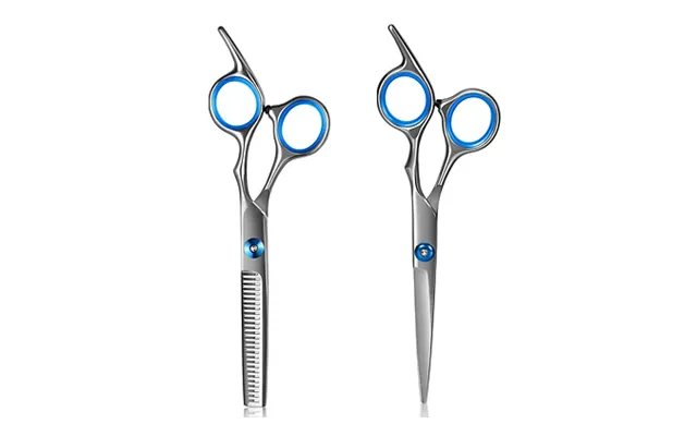 2-piece Stainless Steel Scissor Set - Cutting & Thinning Scissors