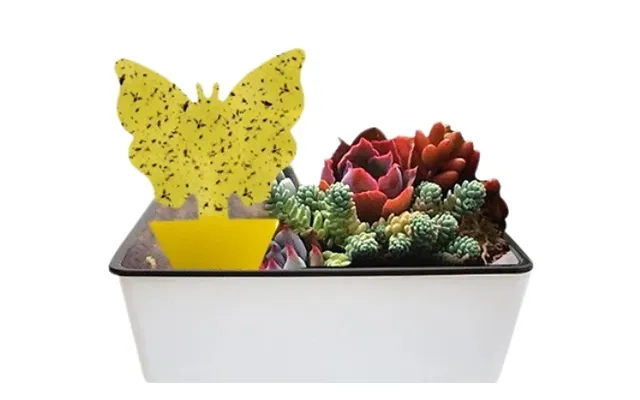 20-pack Butterfly-shaped Sticky Insect Catchers