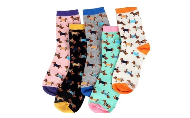 5 Pairs Of Sausage Dog Socks product image