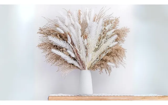 50-piece Elegant Dried Pampas Grass Set