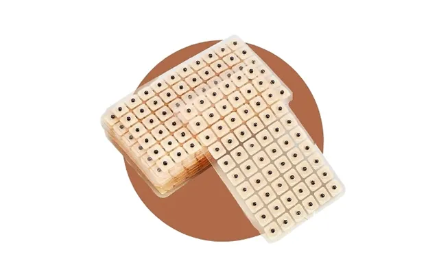 600-1800 Acusoothe Ear Seeds - 1, 2 Or 3-pack product image