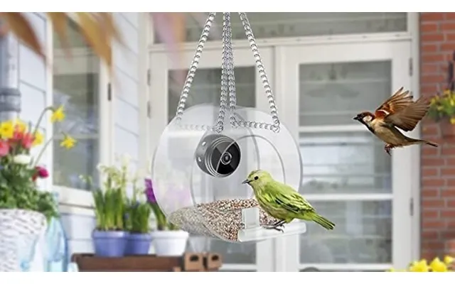 Bird Feeder With Optional Camera - 3 Styles