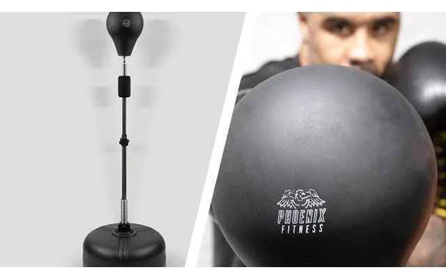 Free Standing Speed Ball