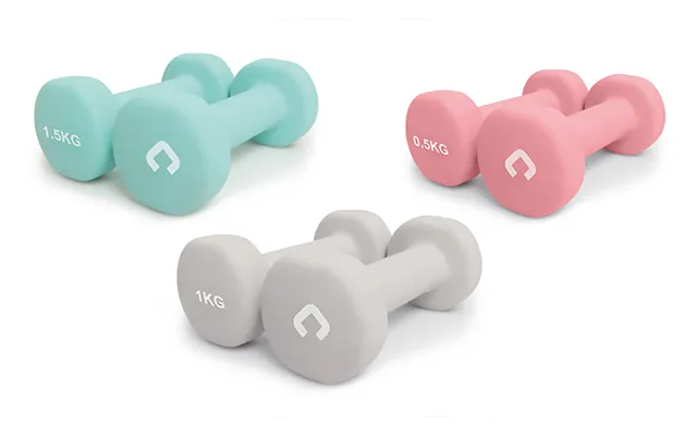 Gymcline 3 Pairs Of Assorted Dumbbells With Case - 6kg Total