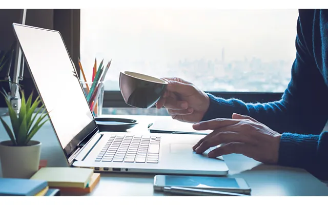 Microsoft Office 2019 Essentials Training Bundle
