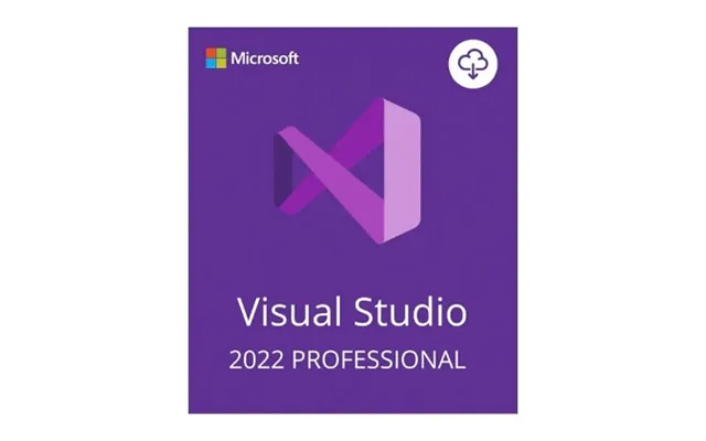 Microsoft Visual Studio 2022 Professional