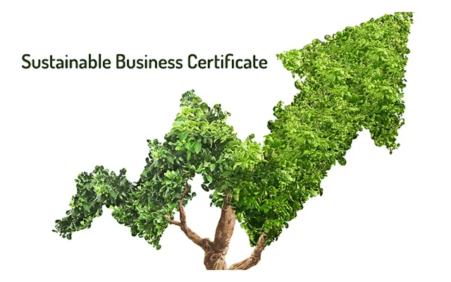 Online Sustainable Business Certificate