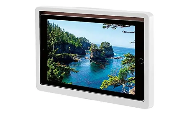 Wall-mounted Waterproof Tablet Case