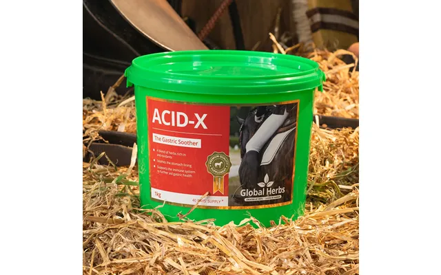 Global Herbs Acid-x - 1kg