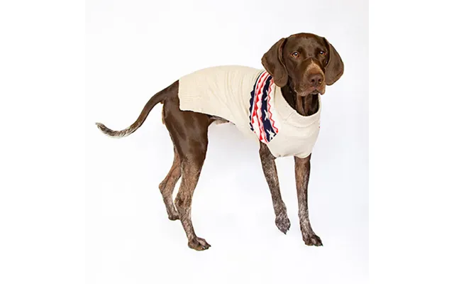 Joules Fairisle Jumper - M