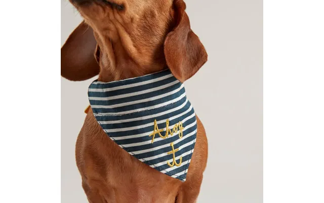 Joules Nautical Collar & Neckerchie - Navy M product image