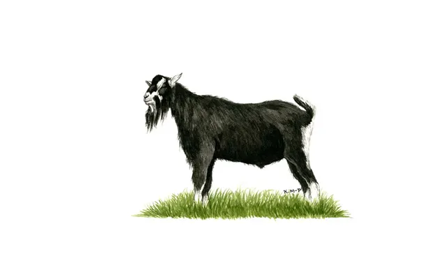 Kevin Milner Countryside Cards - British Alpine Goat One Size
