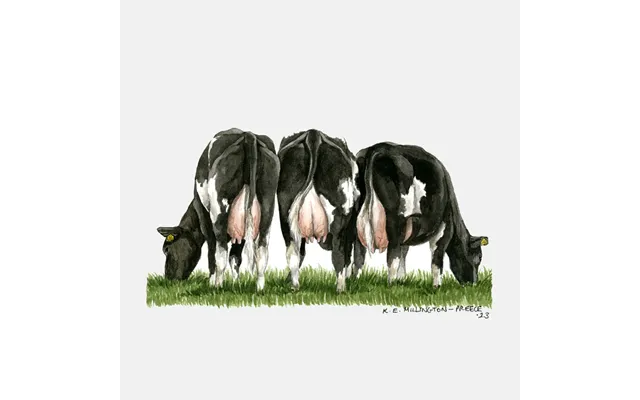 Kevin Milner Countryside Cards - Fresian Cow One Size