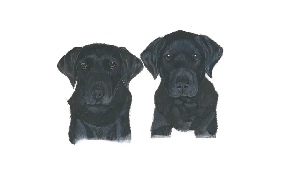 Kevin Milner Countryside Cards - Good Friends Art One Size