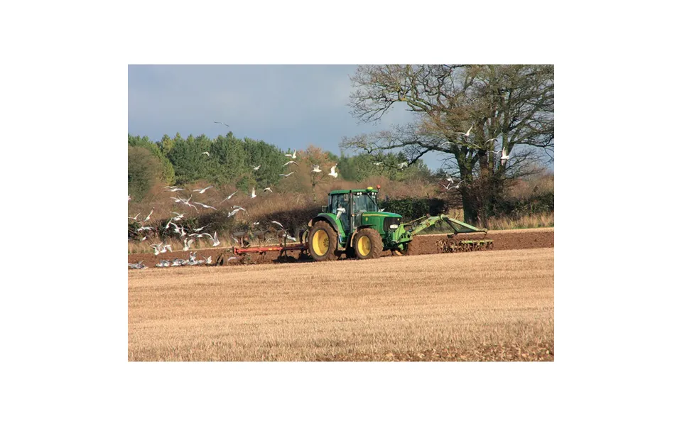 Kevin Milner Countryside Cards - Ploughing Time One Size