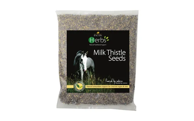 Lincoln Herbs Milk Thistle Seeds - 1kg product image