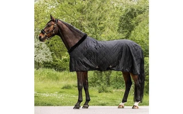 Waldhausen Exclusive Travel Rug - Black 135cm product image
